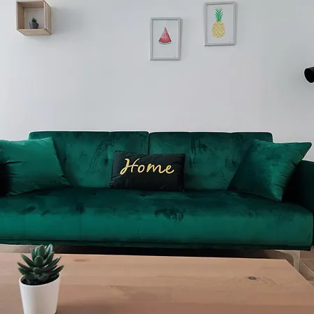 Jardin Entre Cite Et Bastide Apartment Carcassonne