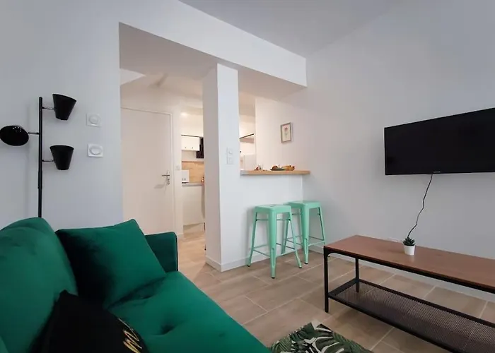 Apartamento Jardin Entre Cite Et Bastide Carcassonne