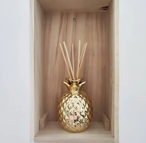 Jardin Entre Cite Et Bastide