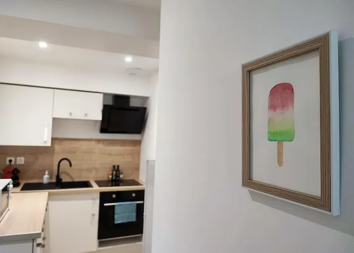 Daire Jardin Entre Cite Et Bastide Carcassonne