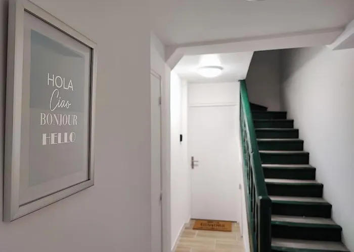 Daire Jardin Entre Cite Et Bastide Carcassonne