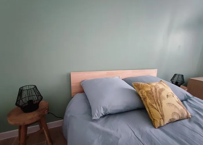 Apartamento Jardin Entre Cite Et Bastide