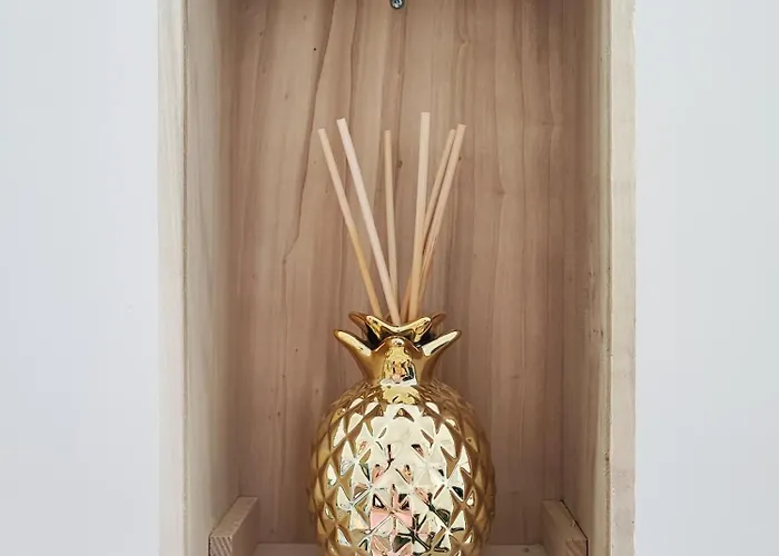 Daire Jardin Entre Cite Et Bastide *