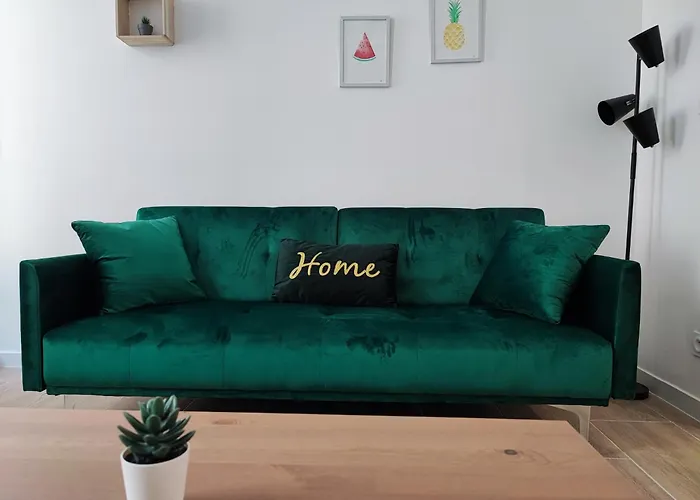 Jardin Entre Cite Et Bastide Daire Carcassonne