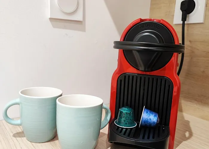 Jardin Entre Cite Et Bastide *