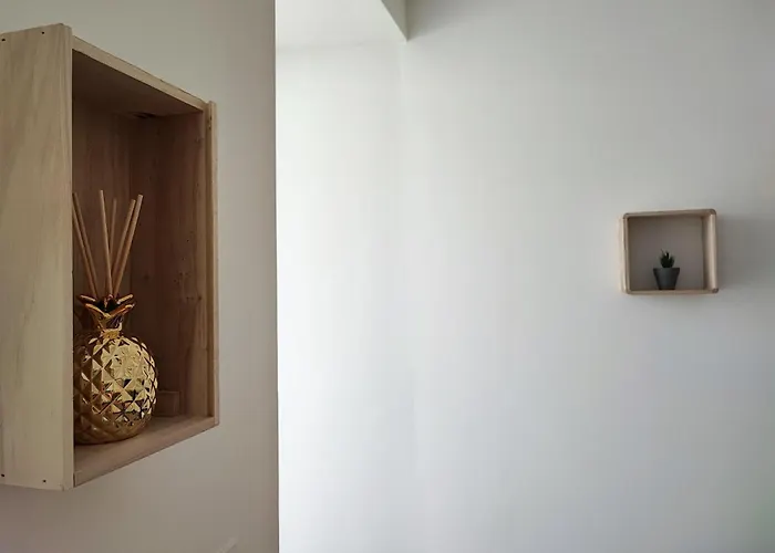 Jardin Entre Cite Et Bastide Carcassonne